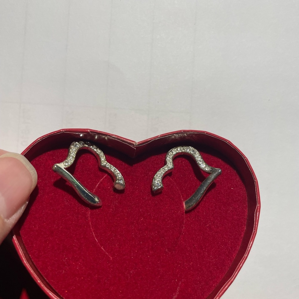 Elegant Silver Earrings
